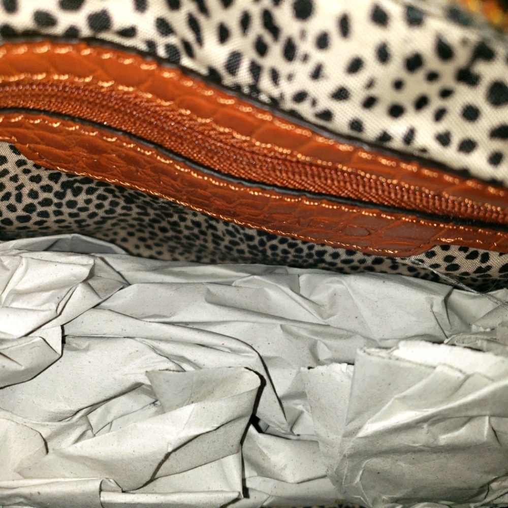 Sole Society Crossbody Bag